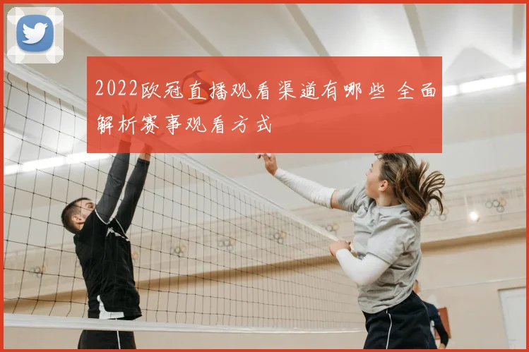 2022欧冠直播观看渠道有哪些 全面解析赛事观看方式