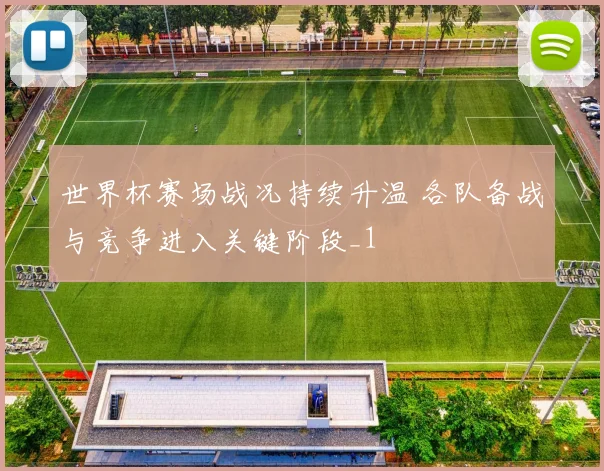 世界杯赛场战况持续升温 各队备战与竞争进入关键阶段_1