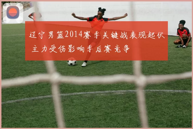 辽宁男篮2014赛季关键战表现起伏 主力受伤影响季后赛竞争