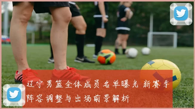 辽宁男篮全体成员名单曝光 新赛季阵容调整与出场前景解析